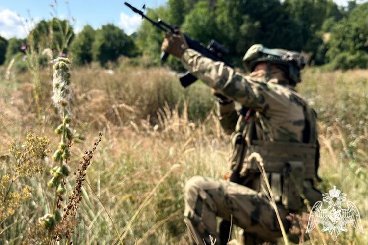 Росгвардейцы за прошедшую неделю поразили 2 БПЛА противника на территории Курской области