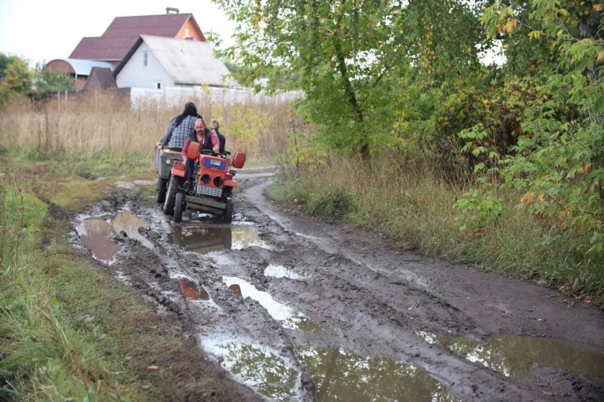 Явка на выборах в Курской области к полудню заключительного дня голосования превысила 46,6%