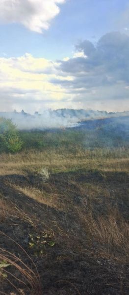 Под Курском пожарные не подпустили огонь к жилым домам