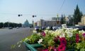 В Курской области планируют учредить несколько новых званий и медалей