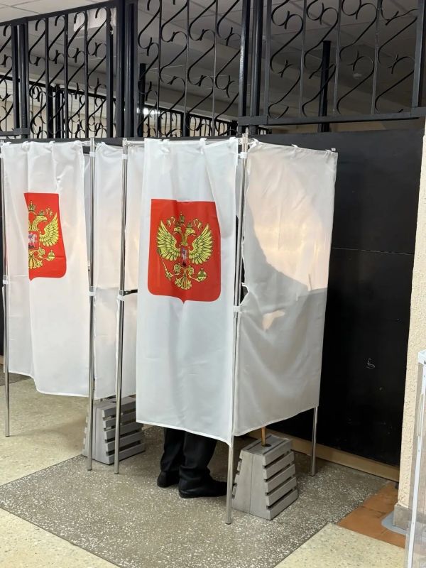 Теперь официально: в Курской области подвели итоги выборов
