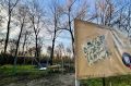 Курский парк альпак перенесли в Завидово