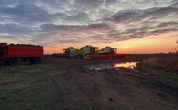 В Курской области зерновые обмолочены на площади 444,7 тыс. га