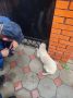 ��� ������� ��������� ��������� ���������� � �������� ������ ������