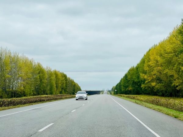 В Курской области подрядчик отсудил 25 млн рублей за содержание мостов и дорог