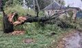 В Курске мэр Маслов рассказал о ликвидации последствий непогоды
