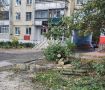В Курске распилили упавшие деревья на улице Пионеров и двух проспектах