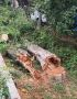 Шквалистый ветер обрушил в Курске более 30 деревьев