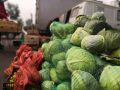 Осенью в Курске традиционно проводятся плодоовощные ярмарки