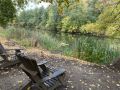 В Курске в День города будет прохладно и без дождей