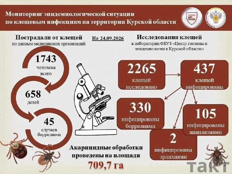 В Курской области зафиксировано 45 случаев клещевого боррелиоза