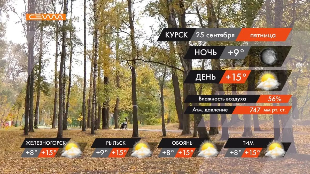 Завтра в Курской области будет тепло и без дождей