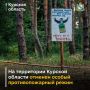 На территории Курской области отменен особый противопожарный режим