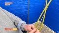Курск сегодня утопает в улыбках, музыке и праздничном настроении
