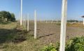 В Курской области суд вернул 11 земельных участков, выданных в аренду с нарушениями