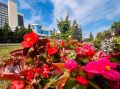 В Курской области 27 сентября потеплеет до +20°С