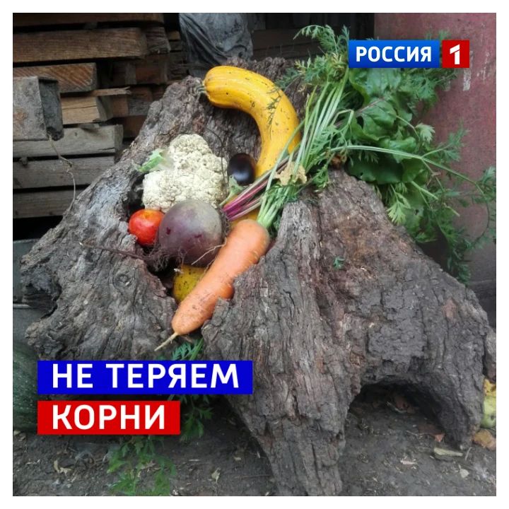 26 сентября, суббота. Сегодня Корнилов день