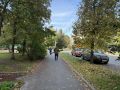 В Курске на субботнике работники администрации убрали 30 кубометров мусора