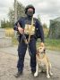 Железногорский пёс Рыжик стал постоянным напарником полицейских