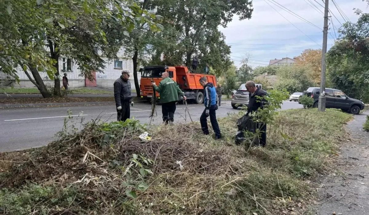 В Курске сотрудники администрации провели субботник в Центральном округе