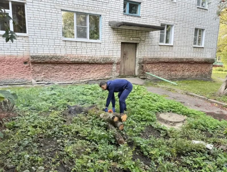 В Курске провели субботник и вывезли 30 кубометров мусора