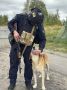 В Курской области пёс Рыжик помогает полицейским нести службу
