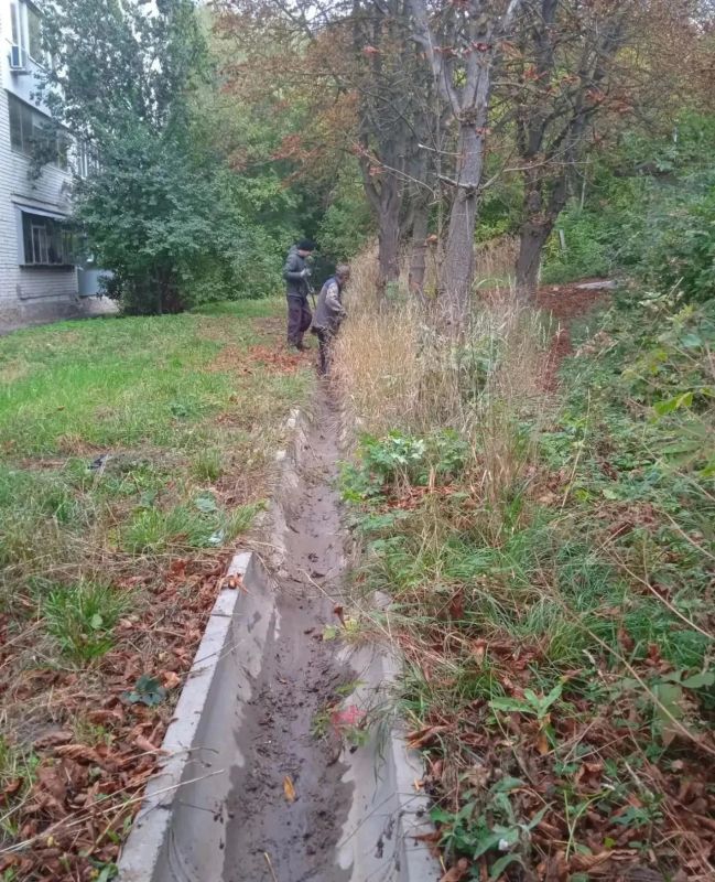 В районе дома № 44 по улице Институтской наводят порядок