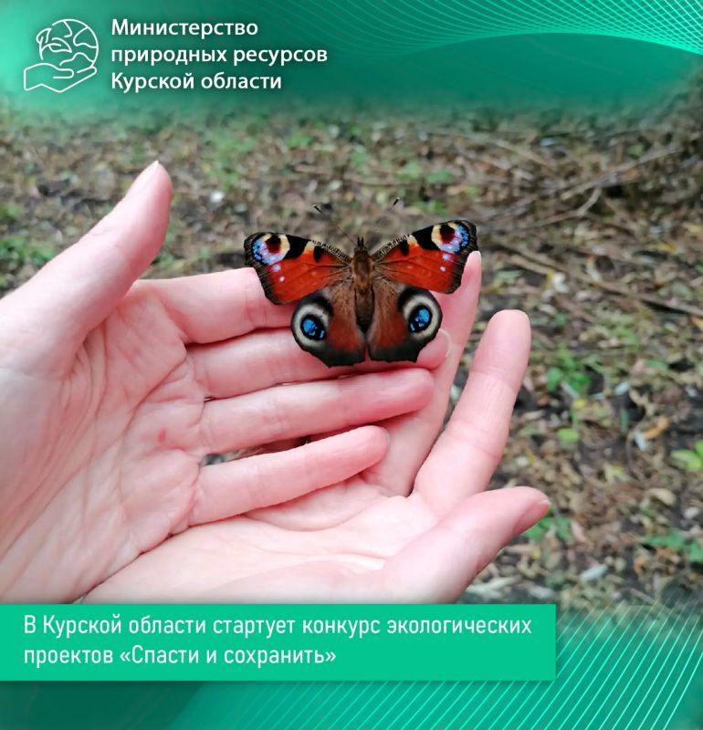 В Курской области стартует конкурс экологических проектов «Спасти и сохранить»
