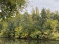 В Курской области ожидается резкое ночное похолодание