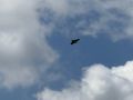 В Кореневском районе 40-летняя женщина получила травму во время атаки беспилотника на село Пушкарное