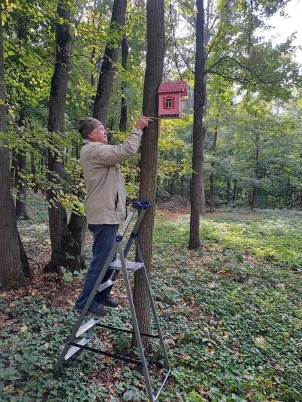 Более 1,5 тысячи курян ежегодно устанавливают кормушки и домики для птиц
