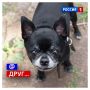 30 сентября, среда. Сегодня День интернета в России