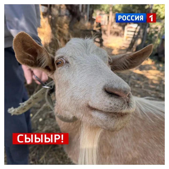 2 октября, пятница. Сегодня Всемирный день улыбки