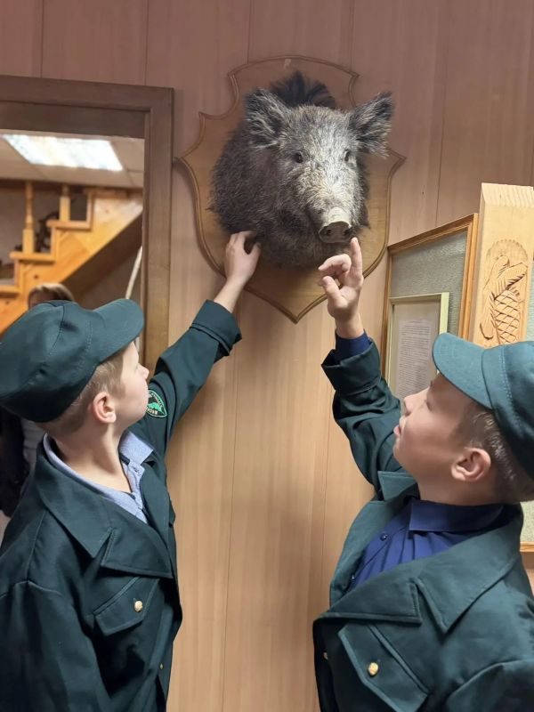 В Золотухинском лесничестве прошла акция «Сохраним лес»