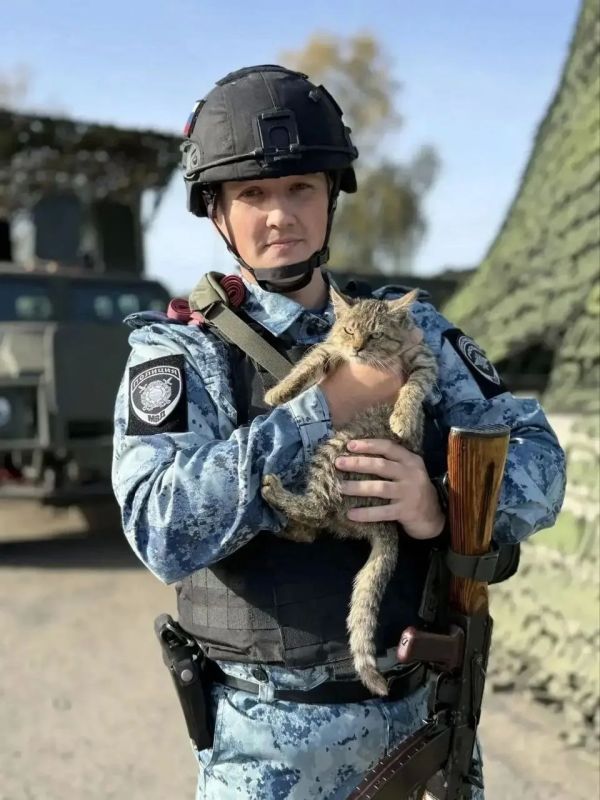 В Курском районе у сотрудников полиции появился полосатый напарник: кот по кличке Тигр