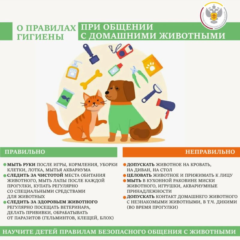 Домашние животные приносят радость в дом, но близкое общение с ними требует соблюдения простых правил гигиены