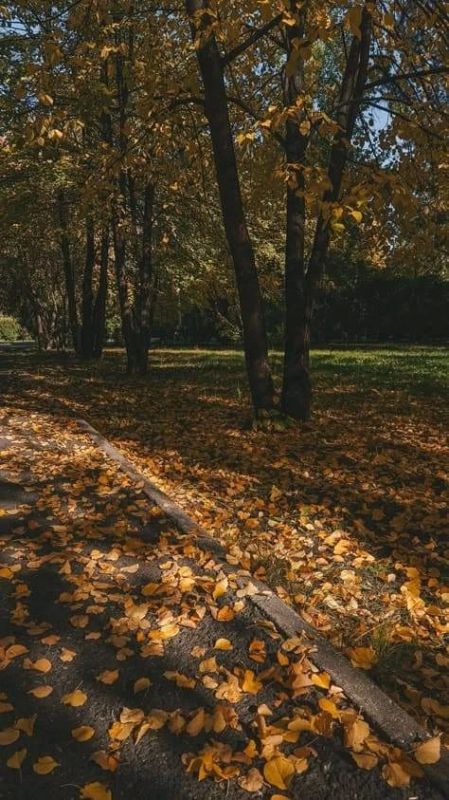 Доброе утро!. Сегодня, в понедельник, 5 октября, по прогнозу регионального отделения МЧС в Курской области облачно с прояснениями
