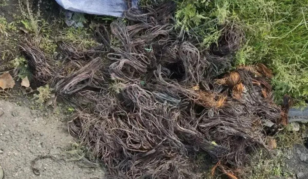 В Большесолдатском районе в машине полицейские нашли похищенные медные кабели