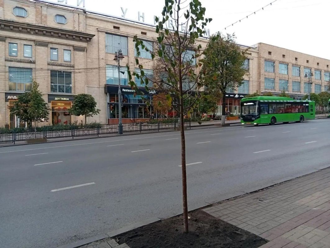 В Курске на участке от Красной площади до площади Перекальского высадили еще 18 молодых лип