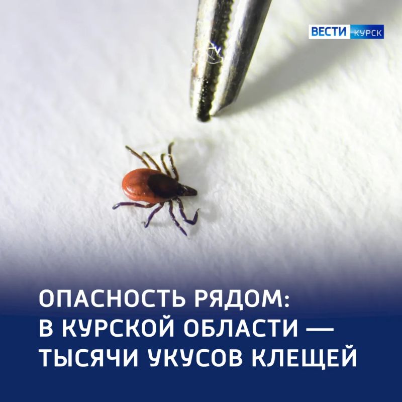 Тревожный счётчик: почти 1900 человек пострадали от клещей