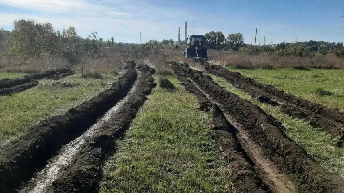 В Курске 10 октября в Ламоновской ольхе высадят 8 тысяч дубов