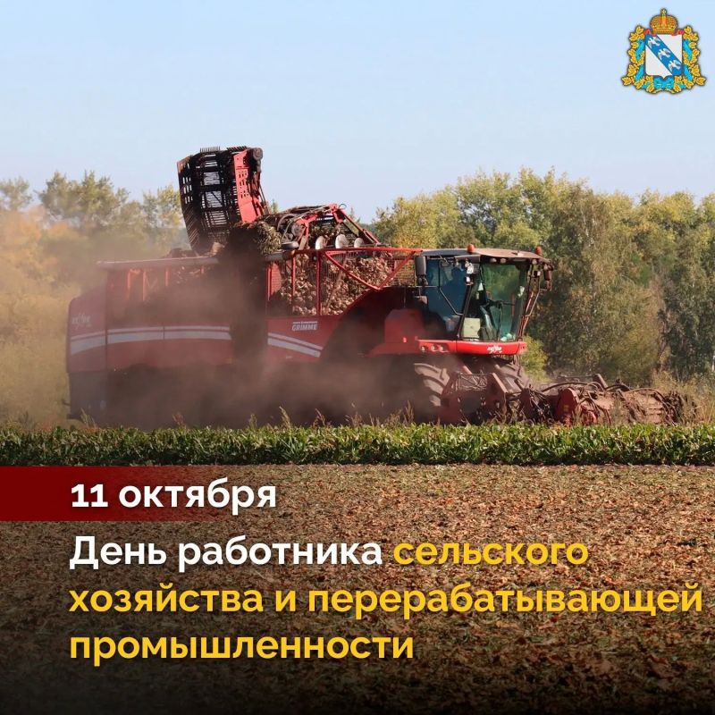 Курские аграрии отмечают День работников сельского хозяйства