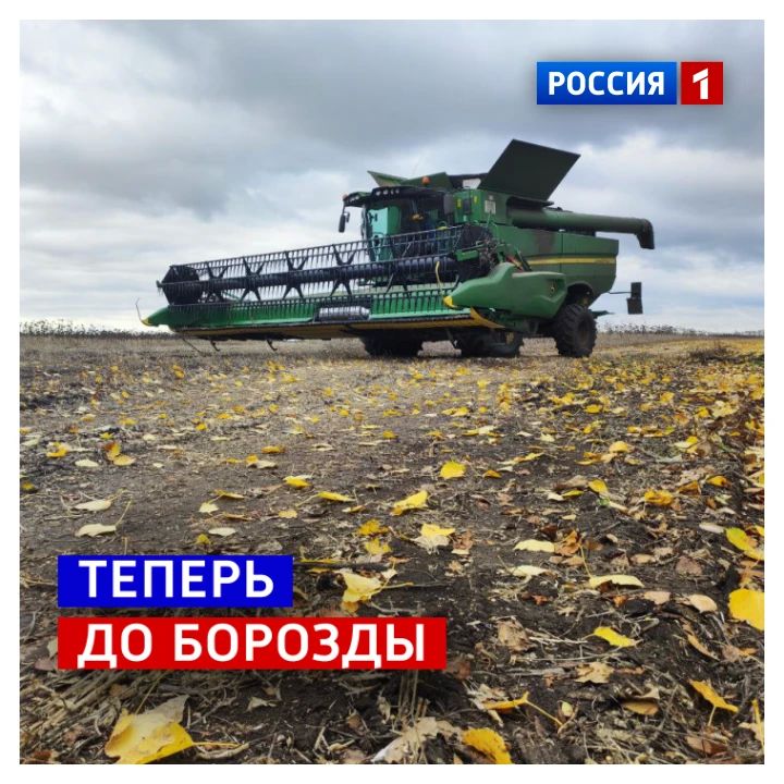 11 октября, воскресенье. «День работника сельского хозяйства и перерабатывающей промышленности» — вряд ли мы когда-то писали о празднике с таким длинным названием
