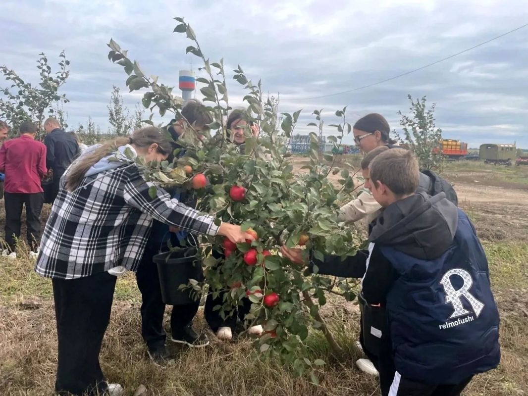 Ученики старших классов Солдатской школы побывали в фермерском хозяйстве, принадлежащем индивидуальному предпринимателю А.В. Фатьянову, расположенном в селе Верхние Халчи