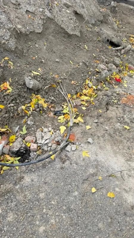 Повреждённый кабель оставил без света соцучреждение в Курске