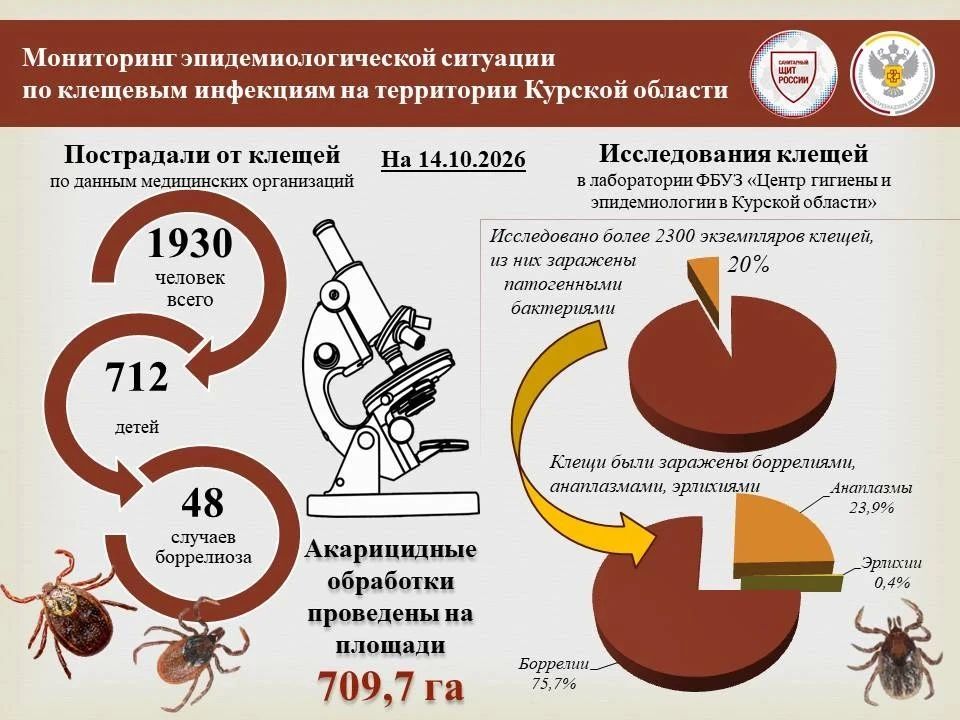 По состоянию на 14 октября 2026 г. в медицинские организации Курской области по поводу присасывания клещей обратились 1930 человек, в том числе 712 детей до 14 лет, что на 9,5% ниже обращаемости в аналогичном периоде...