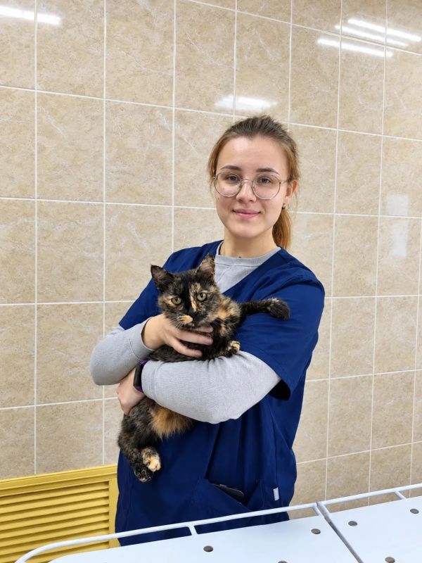 Для жителей Курского района доступна новая государственная ветеринарная клиника!