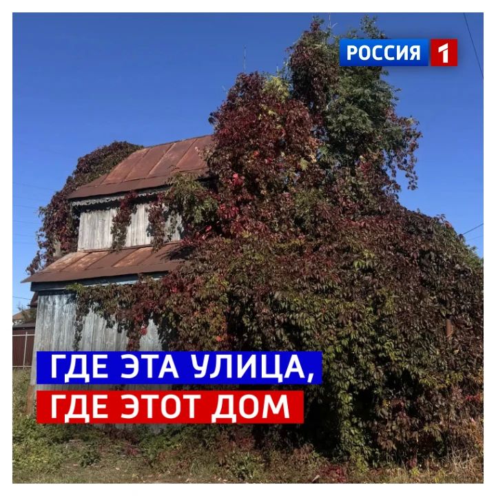 15 октября, четверг. Сегодня День создания адресно-справочной службы в России