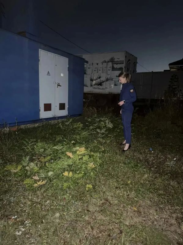 В Курске прокуратура уличила чиновников в фиктивной борьбе с опасным борщевиком