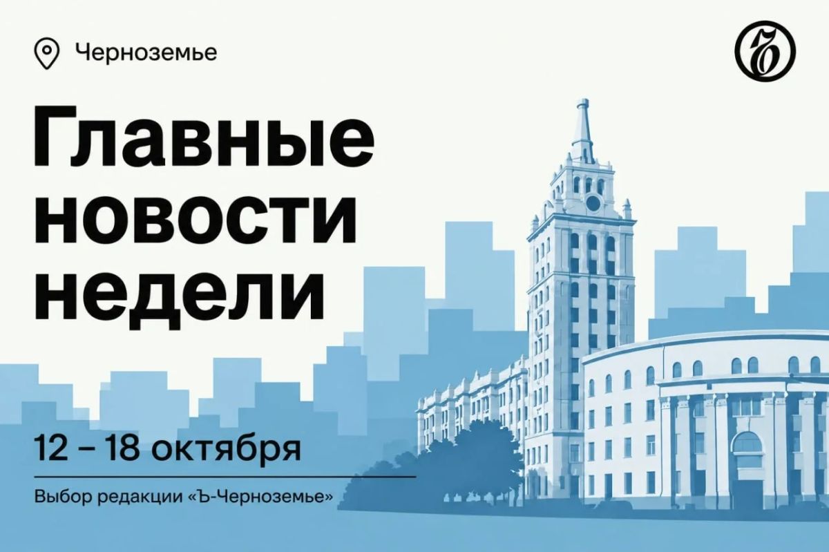 В Воронеже депутаты обсуждают возможное расторжение концессии с оператором платных парковок